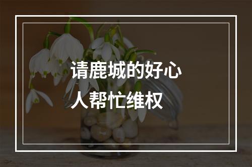 请鹿城的好心人帮忙维权