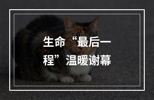 生命“最后一程”温暖谢幕