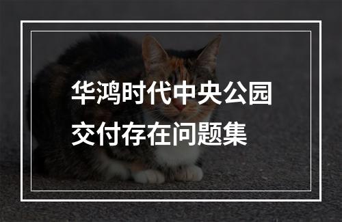 华鸿时代中央公园交付存在问题集