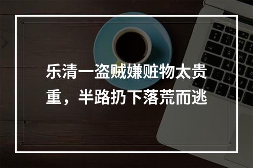 乐清一盗贼嫌赃物太贵重，半路扔下落荒而逃