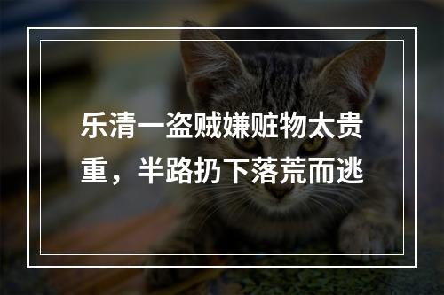 乐清一盗贼嫌赃物太贵重，半路扔下落荒而逃