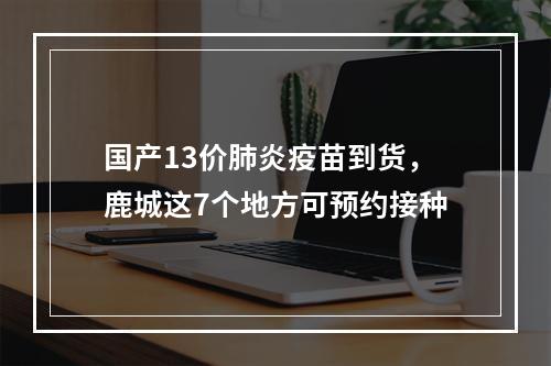国产13价肺炎疫苗到货，鹿城这7个地方可预约接种