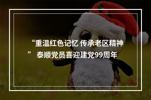 “重温红色记忆 传承老区精神” 泰顺党员喜迎建党99周年