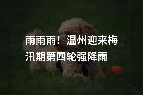 雨雨雨！温州迎来梅汛期第四轮强降雨
