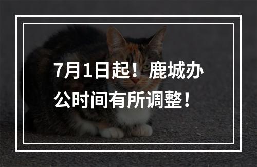 7月1日起！鹿城办公时间有所调整！