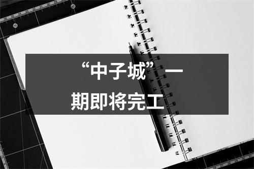 “中子城”一期即将完工