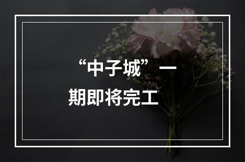 “中子城”一期即将完工