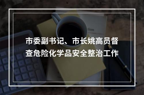市委副书记、市长姚高员督查危险化学品安全整治工作
