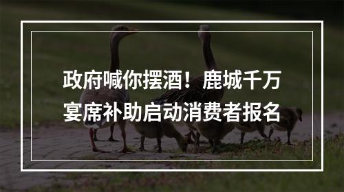 政府喊你摆酒！鹿城千万宴席补助启动消费者报名