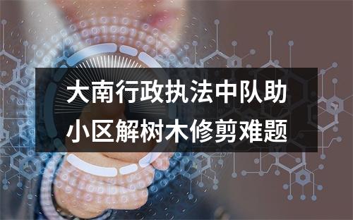 大南行政执法中队助小区解树木修剪难题