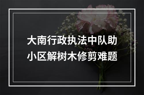 大南行政执法中队助小区解树木修剪难题
