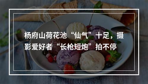 杨府山荷花池“仙气”十足，摄影爱好者“长枪短炮”拍不停