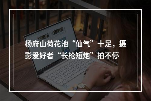 杨府山荷花池“仙气”十足，摄影爱好者“长枪短炮”拍不停