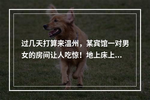 过几天打算来温州，某宾馆一对男女的房间让人吃惊！地上床上全是小钢瓶...
