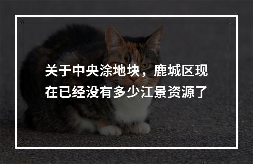 关于中央涂地块，鹿城区现在已经没有多少江景资源了