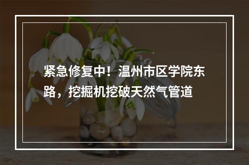 紧急修复中！温州市区学院东路，挖掘机挖破天然气管道