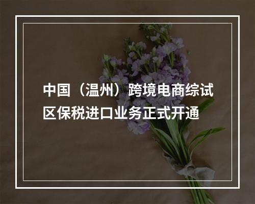 中国（温州）跨境电商综试区保税进口业务正式开通