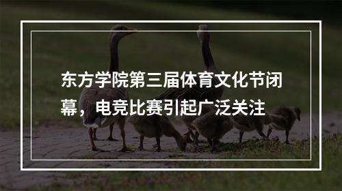 东方学院第三届体育文化节闭幕，电竞比赛引起广泛关注