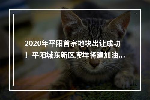 2020年平阳首宗地块出让成功！平阳城东新区廖垟将建加油站