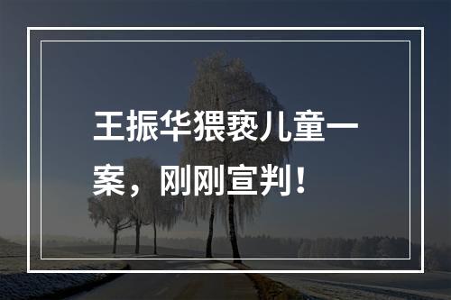 王振华猥亵儿童一案，刚刚宣判！