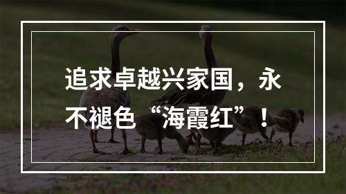 追求卓越兴家国，永不褪色“海霞红”！