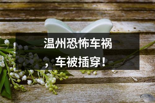 温州恐怖车祸，车被插穿！