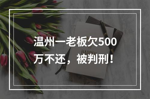 温州一老板欠500万不还，被判刑！