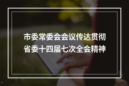 市委常委会会议传达贯彻省委十四届七次全会精神