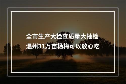 全市生产大检查质量大抽检 温州31万亩杨梅可以放心吃