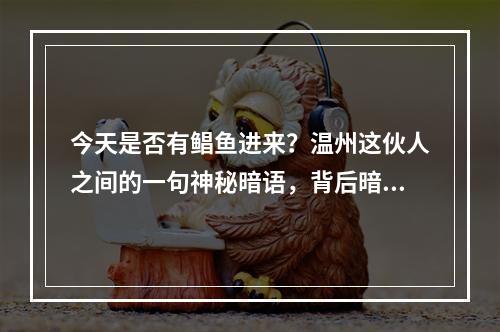 今天是否有鲳鱼进来？温州这伙人之间的一句神秘暗语，背后暗藏5亿走私大案