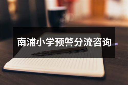 南浦小学预警分流咨询