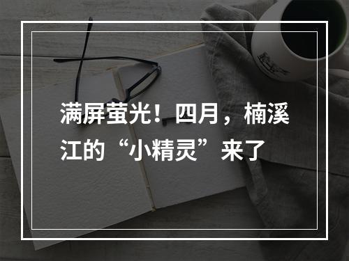 满屏萤光！四月，楠溪江的“小精灵”来了