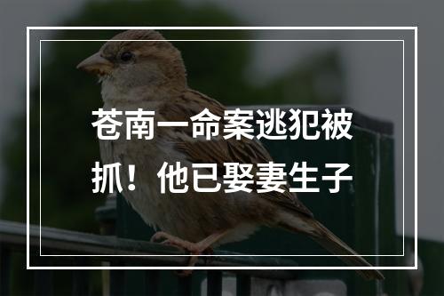 苍南一命案逃犯被抓！他已娶妻生子