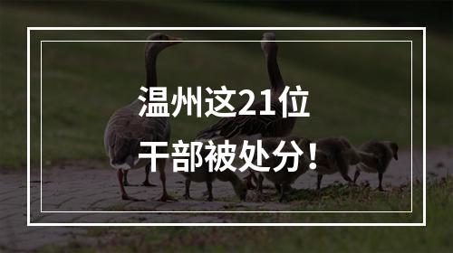 温州这21位干部被处分！