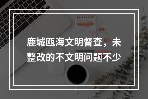 鹿城瓯海文明督查，未整改的不文明问题不少