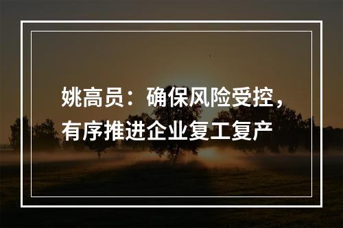 姚高员：确保风险受控，有序推进企业复工复产