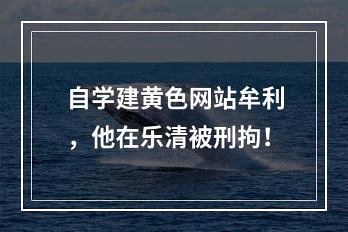 自学建黄色网站牟利，他在乐清被刑拘！