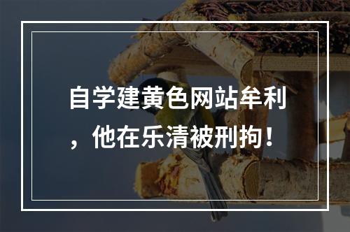 自学建黄色网站牟利，他在乐清被刑拘！
