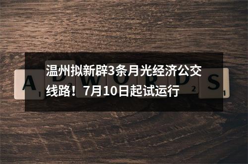 温州拟新辟3条月光经济公交线路！7月10日起试运行