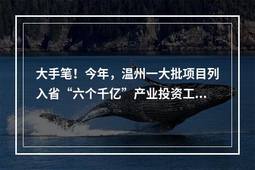 大手笔！今年，温州一大批项目列入省“六个千亿”产业投资工程实施计划
