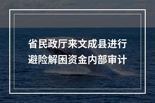 省民政厅来文成县进行避险解困资金内部审计