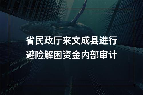省民政厅来文成县进行避险解困资金内部审计