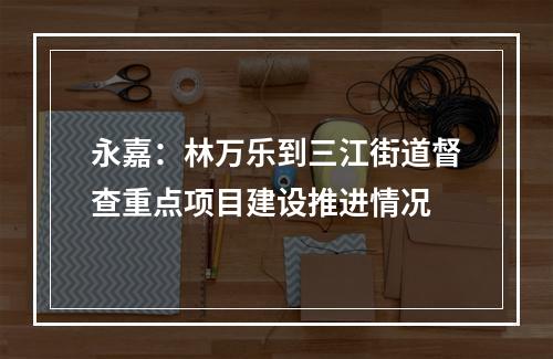 永嘉：林万乐到三江街道督查重点项目建设推进情况