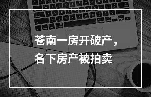 苍南一房开破产，名下房产被拍卖