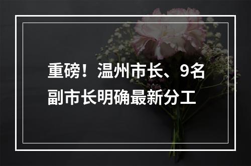 重磅！温州市长、9名副市长明确最新分工