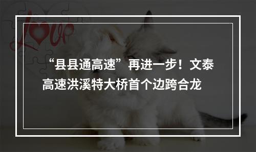 “县县通高速”再进一步！文泰高速洪溪特大桥首个边跨合龙