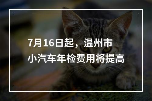 7月16日起，温州市小汽车年检费用将提高