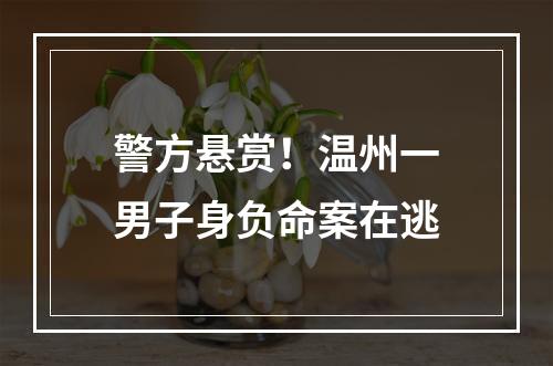 警方悬赏！温州一男子身负命案在逃