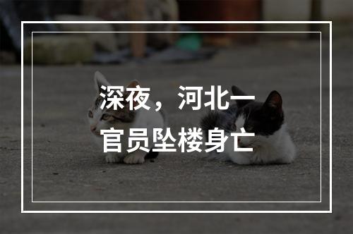 深夜，河北一官员坠楼身亡