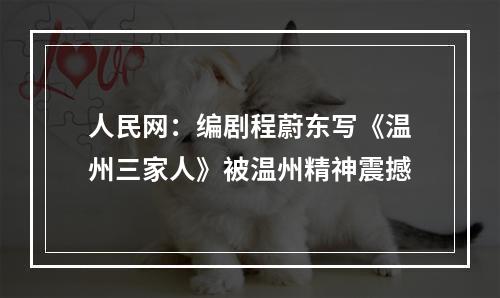 人民网：编剧程蔚东写《温州三家人》被温州精神震撼